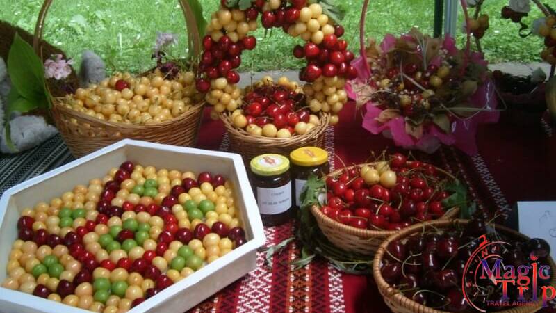 Вкусът на лятото: Празник на черешата в Кюстендил и разходка в Македония 27 Юни - 28 Юни 2026г.